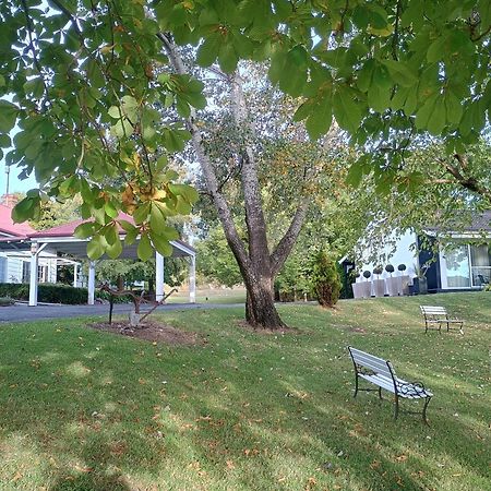 Moore Park Inn آرميدال المظهر الخارجي الصورة
