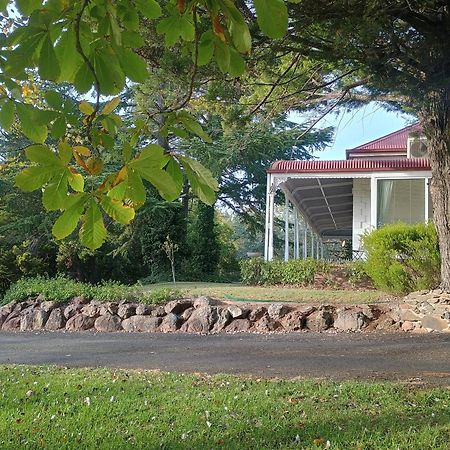 Moore Park Inn آرميدال المظهر الخارجي الصورة